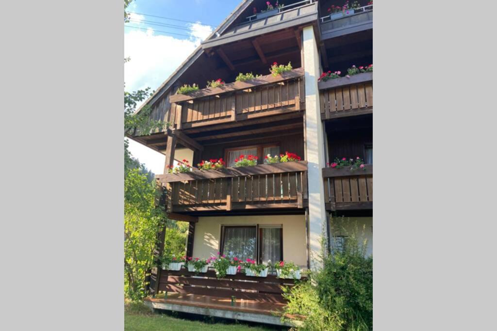 Gemuetliche Ferienwohnung In Sankt Blasien Buitenkant foto