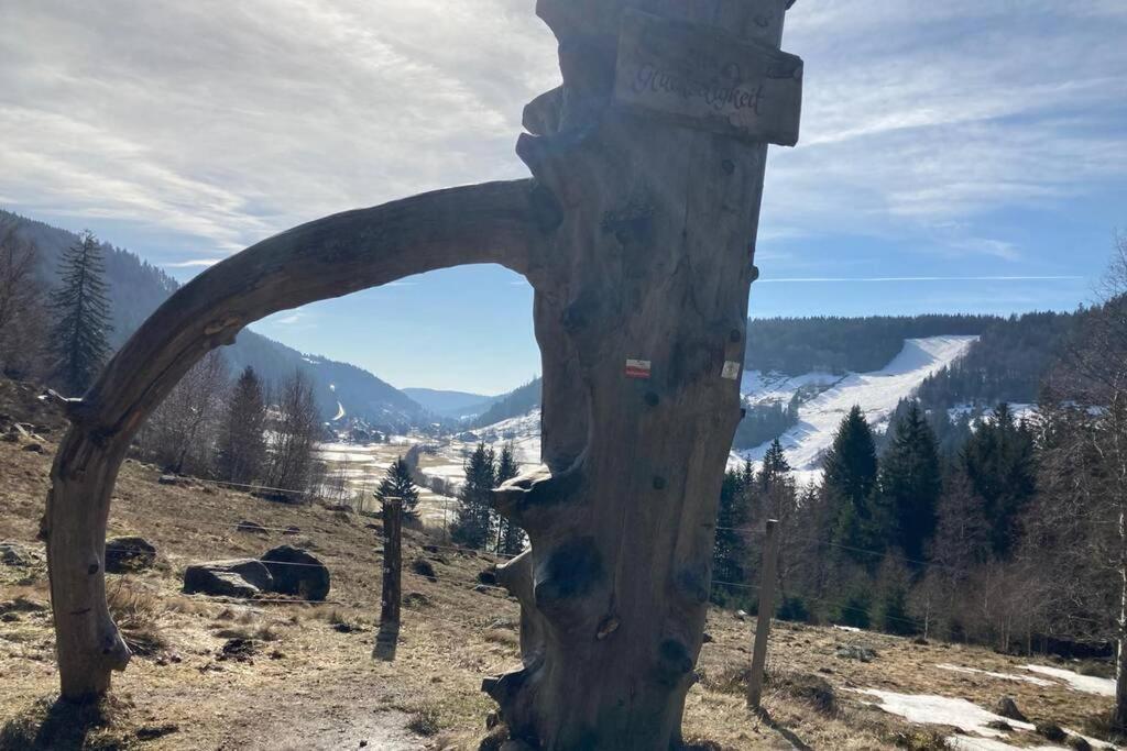 Gemuetliche Ferienwohnung In Sankt Blasien Buitenkant foto
