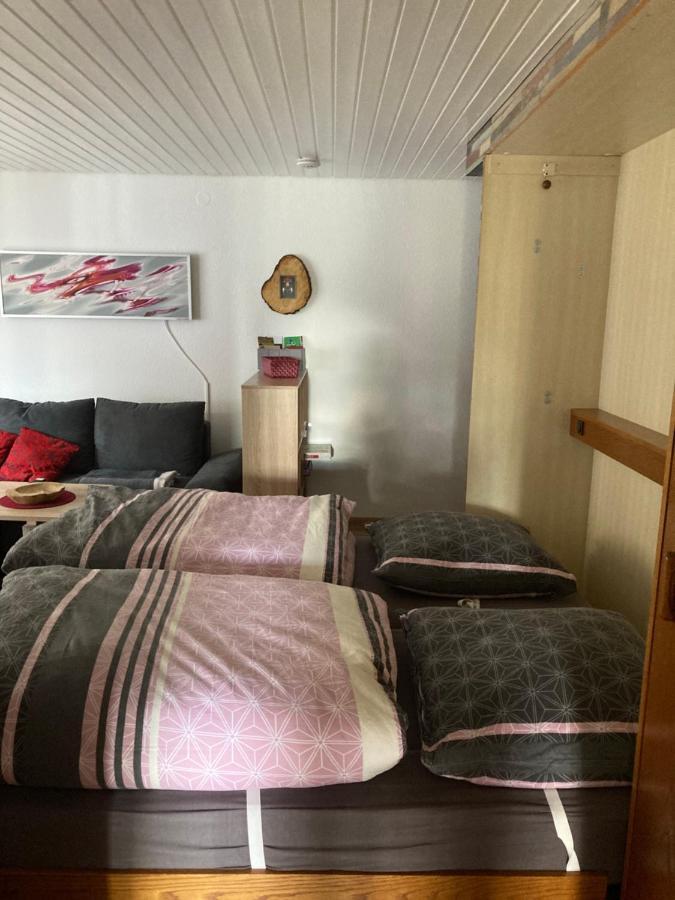 Gemuetliche Ferienwohnung In Sankt Blasien Buitenkant foto