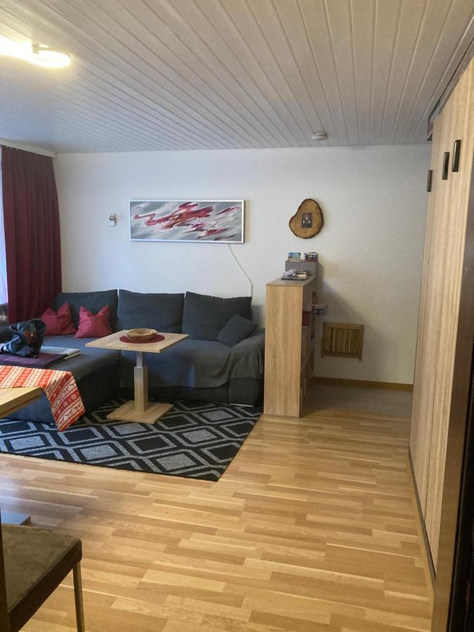 Gemuetliche Ferienwohnung In Sankt Blasien Buitenkant foto