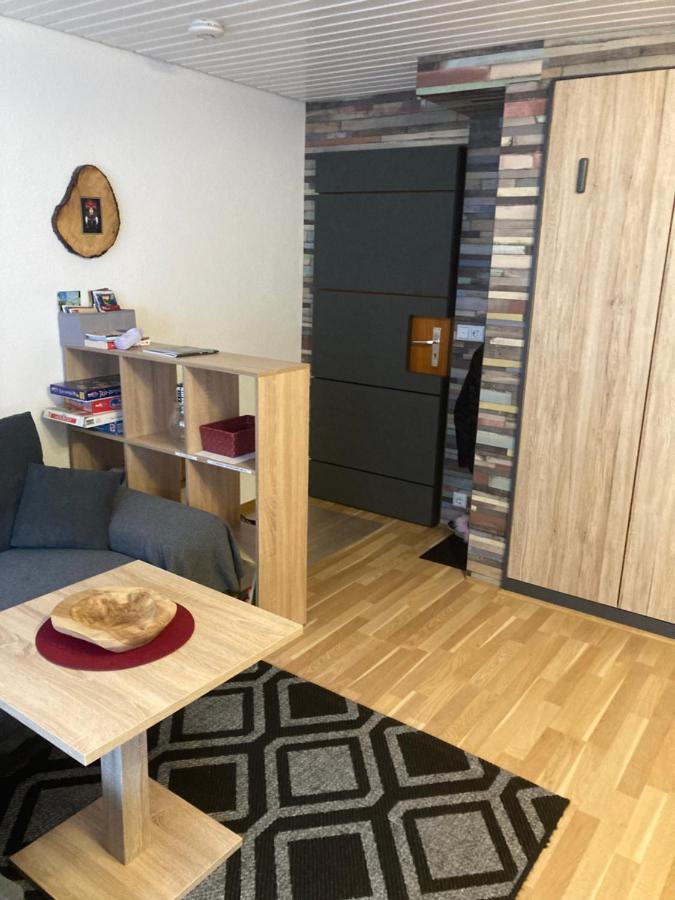 Gemuetliche Ferienwohnung In Sankt Blasien Buitenkant foto